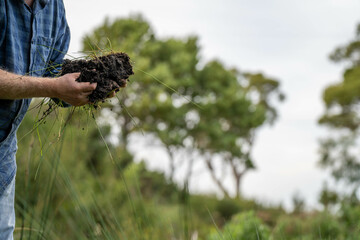 farmer hold soil in hands monitoring soil health on a farm.in australia
