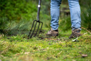 regenerative organic farmer, taking soil samples and looking at plant growth in a farm. practicing sustainable agriculture in australia