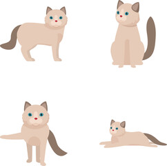 Collection of cute cartoon siamese cats standing, sitting, and lying down isolated on white background