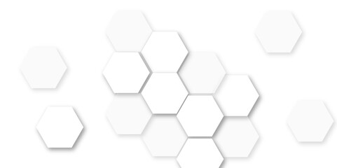 Abstract white and gray hexagon technology lines background. Abstract white and grey color hexagonal geometric background with copy space. Abstract white lines background.