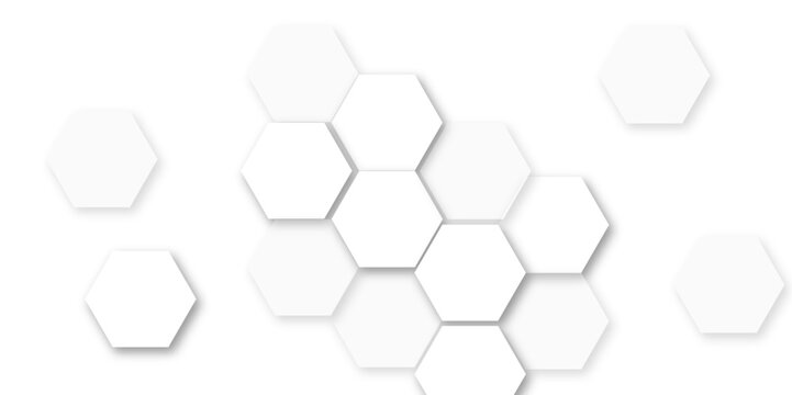 Abstract white and gray hexagon technology lines background. Abstract white and grey color hexagonal geometric background with copy space. Abstract white lines background.