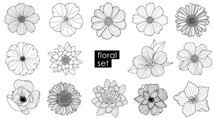 Large set of different flowers. Chamomile, calendula, lotus, cherry flower, sunflower, camellia isolated on white background. Outline of flowers.