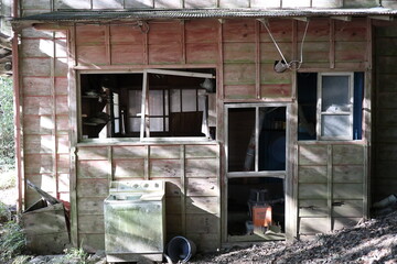 放置され荒れた家、廃村、廃墟、過疎化(日本、埼玉、 白岩集落)
