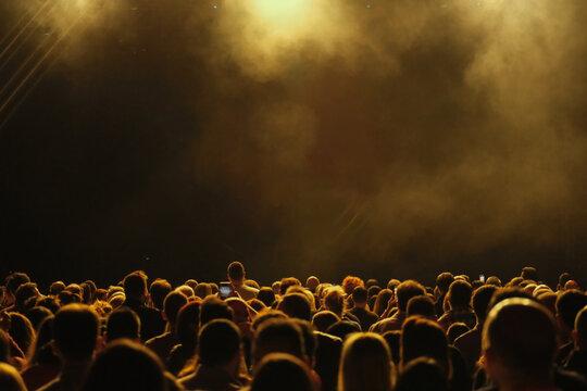 Rear view of people at a very crowded concert