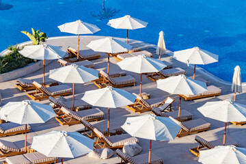 Transats et parasols au bord de la piscine