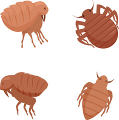 Obraz premium Vector illustrations of cute bed bugs in various poses, isolated on white background