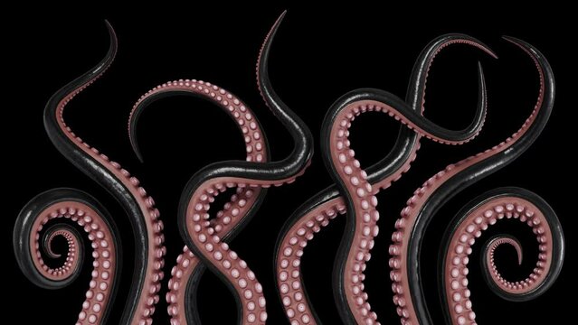 Black octopus tentacles isolated on transparent background. Underwater monster. 3D rendering.