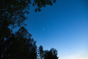 Obraz premium View of the lake shore at sunset