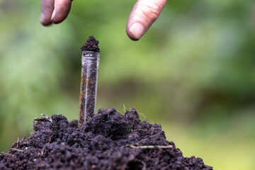 regenerative organic farmer, taking soil samples and looking at plant growth in a farm. practicing...