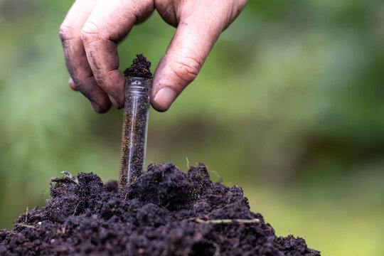 regenerative organic farmer, taking soil samples and looking at plant growth in a farm. practicing sustainable agriculture.