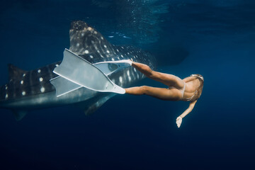 Whale shark and sexy woman in blue ocean. Snorkeling girl with shark underwater