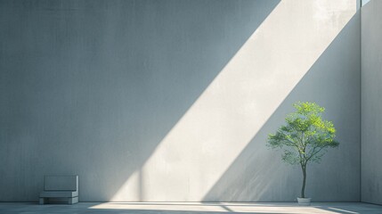 A large, empty white wall in an industrial style loft interior with concrete floors and minimalist furniture. A small tree is placed on the right side of the room near the window, creating a natural
