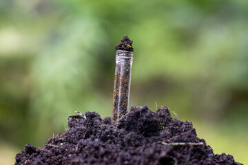 regenerative organic farmer, taking soil samples and looking at plant growth in a farm. practicing sustainable agriculture