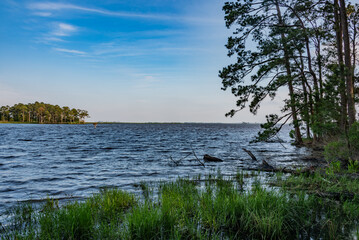 Late Afternoon at Blackwater National Wildlife Refuge, MD JUSA