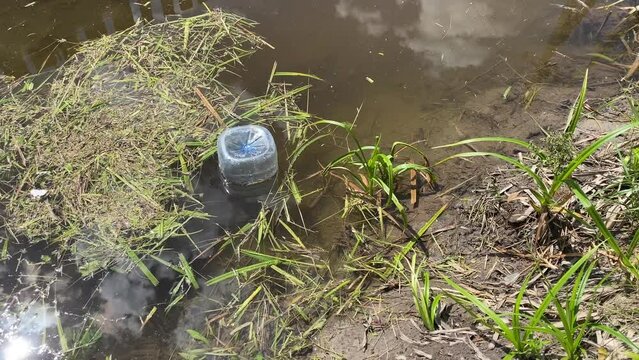 Plastic bottle in the river
