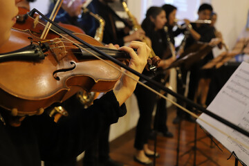 Musician playing at a classical music concert. Group of musicians. Music band. Close-up of person's hands playing the violin. Wind and string musical instruments.