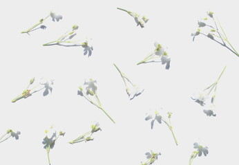 abstract floral background