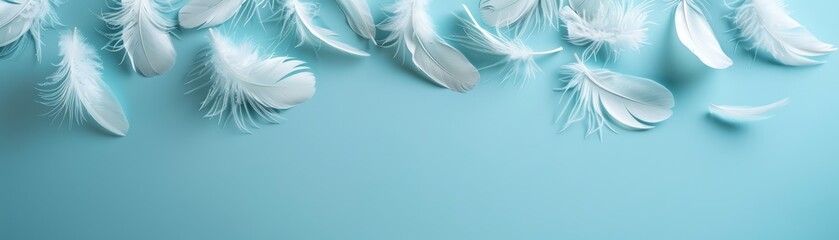 White feathers scattered on a blue background.