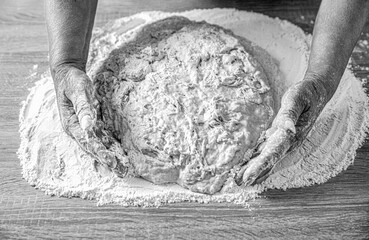 Making dough by male hands at bakery. Food concept. Hands dough. Female hands making dough for pizza. Chef in professional kitchen prepares dough. Black and white