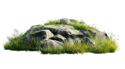 Rocks with overgrown foliage and moss