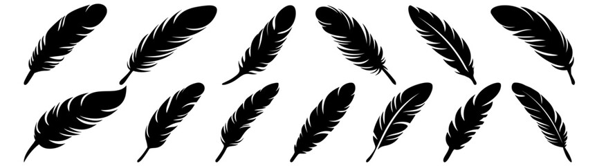 Feather silhouette set vector design big pack of illustration and icon