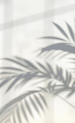 Blurred shadow from palm leaves on a white wall. Minimal abstract background for product presentation