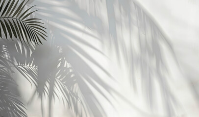 Obraz premium Blurred shadow from palm leaves on a white wall. Minimal abstract background for product presentation