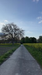 road in the countryside