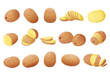  Potatoes vector illustration. isolated on white background.