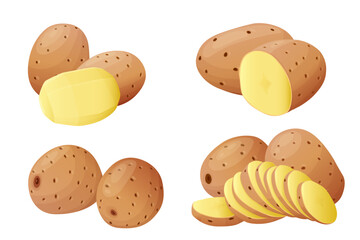  Potatoes vector illustration. isolated on white background.