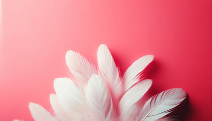 Fototapeta premium 白いの羽 ピンクの背景 壁紙 ふわふわした羽毛 クローズアップ