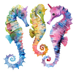 Watercolor vector of seahorse set, isolated on a white background, design art, drawing clipart, Illustration painting, Graphic logo, seahorse vector 