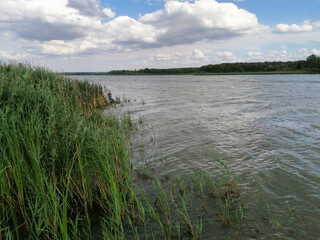 river and grass