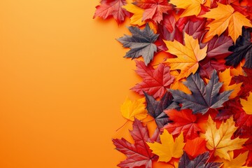 Autumn leaves on orange background, top view with space for text, perfect for seasonal messages