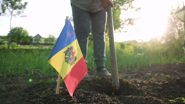 Flag of the Republic of Moldova against the background of a peasant working the land. 