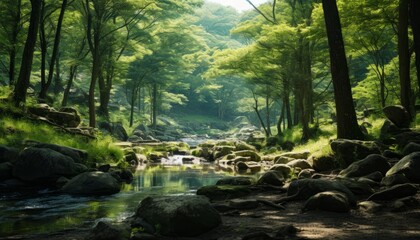 Obraz premium Natural recreational forest of Korea.