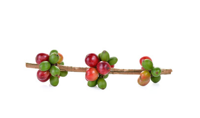 fresh coffee beans isolated on   transparent  png