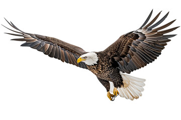 Obraz premium Majestic Bald Eagle in Flight with Wings Spread, Isolated on Transparent Background, PNG