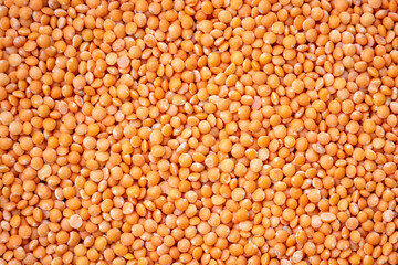 Red lentils or Masoor dal background. Raw ingredients for cooking.