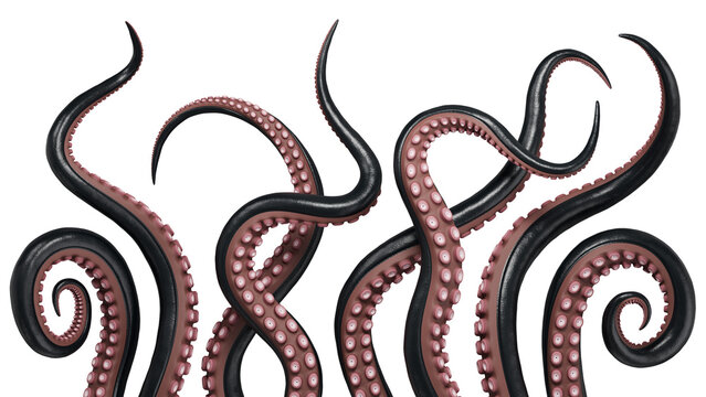 A set of black octopus tentacles. Isolated underwater monster. 3D rendering.