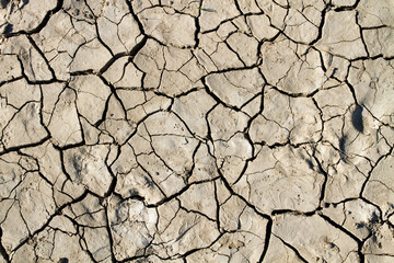 drought crisis. dry cracked earth. Desert. cracks in the ground