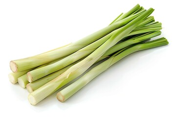 Fresh lemongrass stalks with green and white color isolated on white background