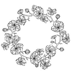 Fototapeta premium black and white frame of sakura flowers, floral illustration