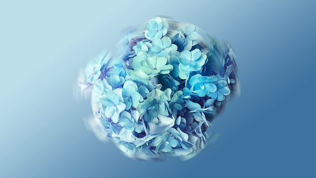 abstract art blue hydrangea flower macro photography floating on blue background