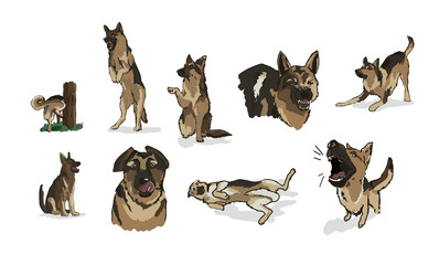 dog behaviours - german shepherd, digitally hand drawn