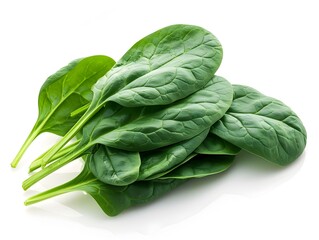 Fototapeta premium Fresh of Vibrant Green Spinach Leaves