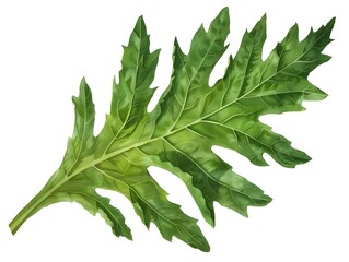 High of Green Dandelion Leaf