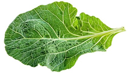 Fresh Dicut Cabbage Leaf Isolated on White Background Basking in Natural Light