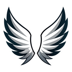Black and white angel wings on white background represent symmetry and elegance