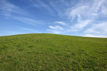 芝生に覆われた小さな山の斜面